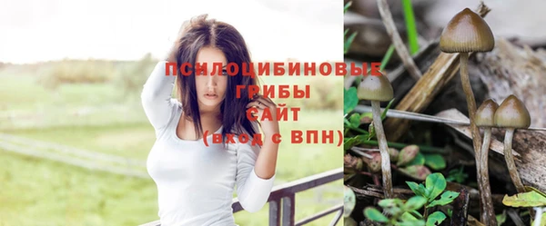 СК Зеленокумск