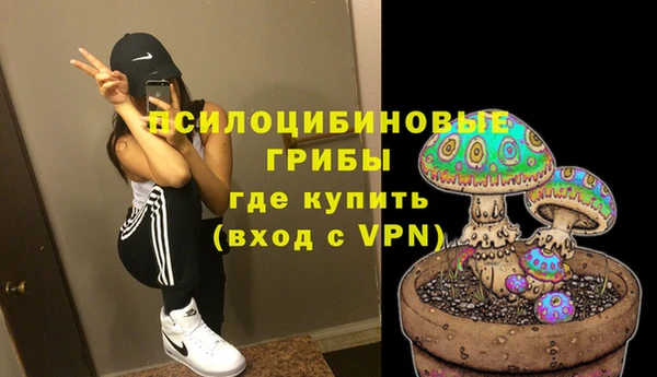 прущая мука Бикин