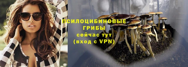 герыч Зерноград
