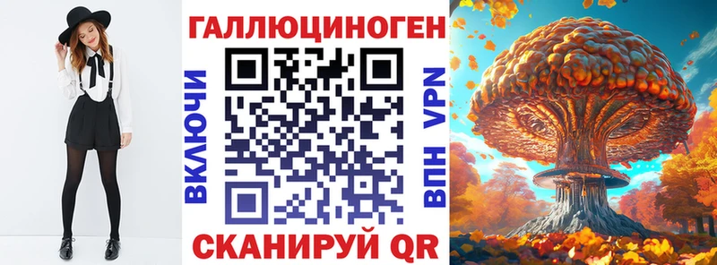 Псилоцибиновые грибы Psilocybe  Инта 